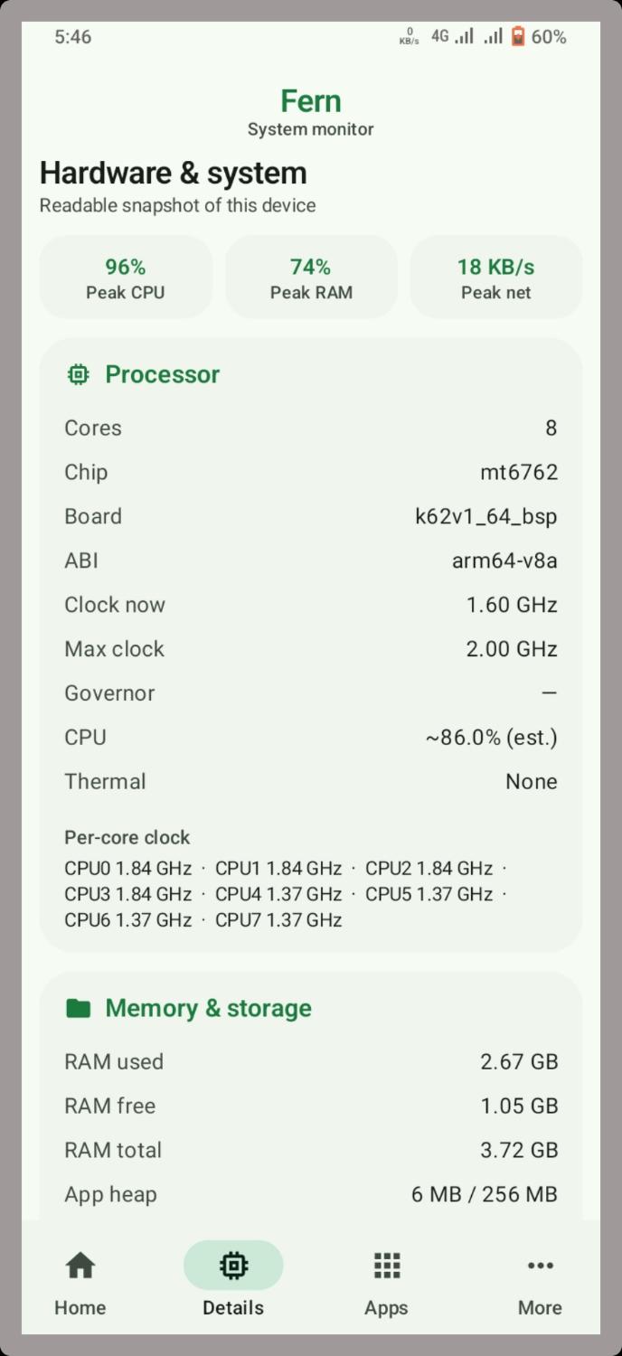 Fern hardware details processor memory